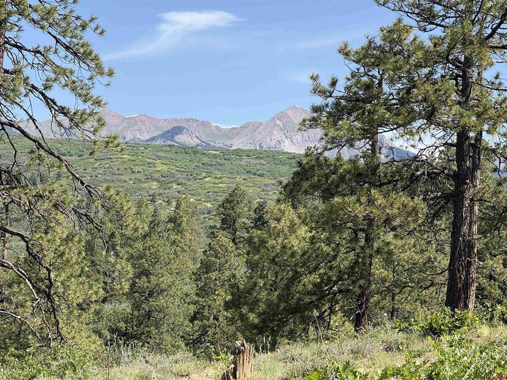 1649 Sheep Springs Road Durango CO 81301