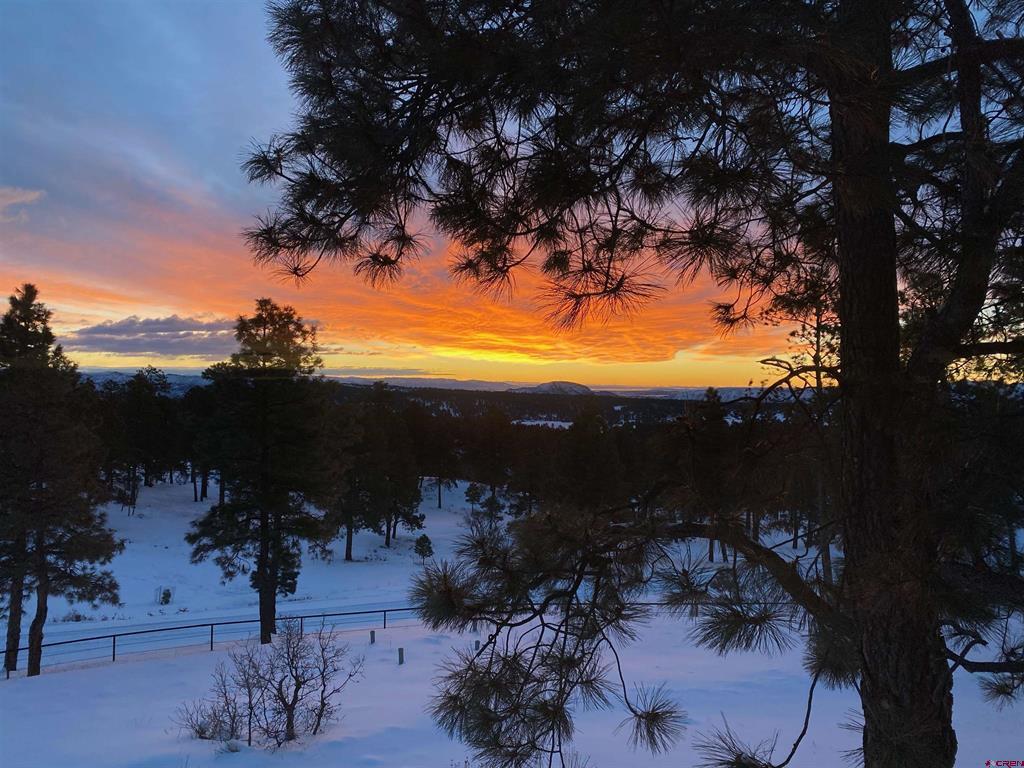 1649 Sheep Springs Road Durango CO 81301