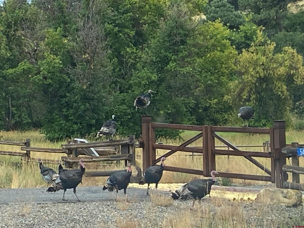 1649 Sheep Springs Road Durango CO 81301