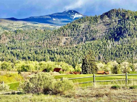 120 Alder Creek South Fork CO 81154