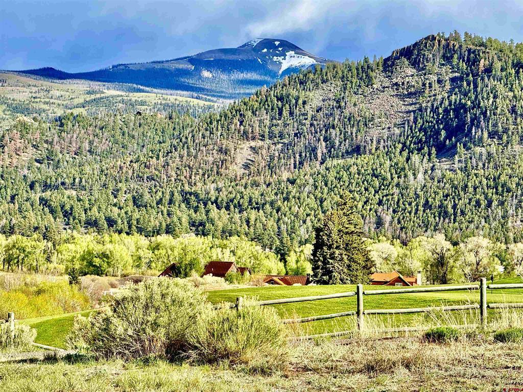 120 S Alder Creek Lane South Fork CO 81154