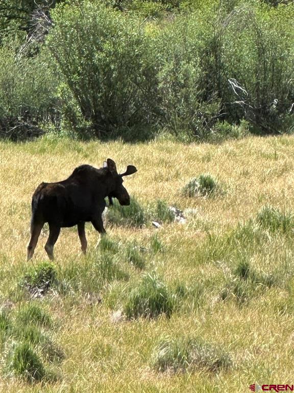 Lot 6 Overland Estates, Cr 110 Silverton CO 81433