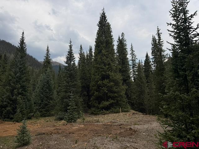 Lot 6 Overland Estates, Cr 110 Silverton CO 81433