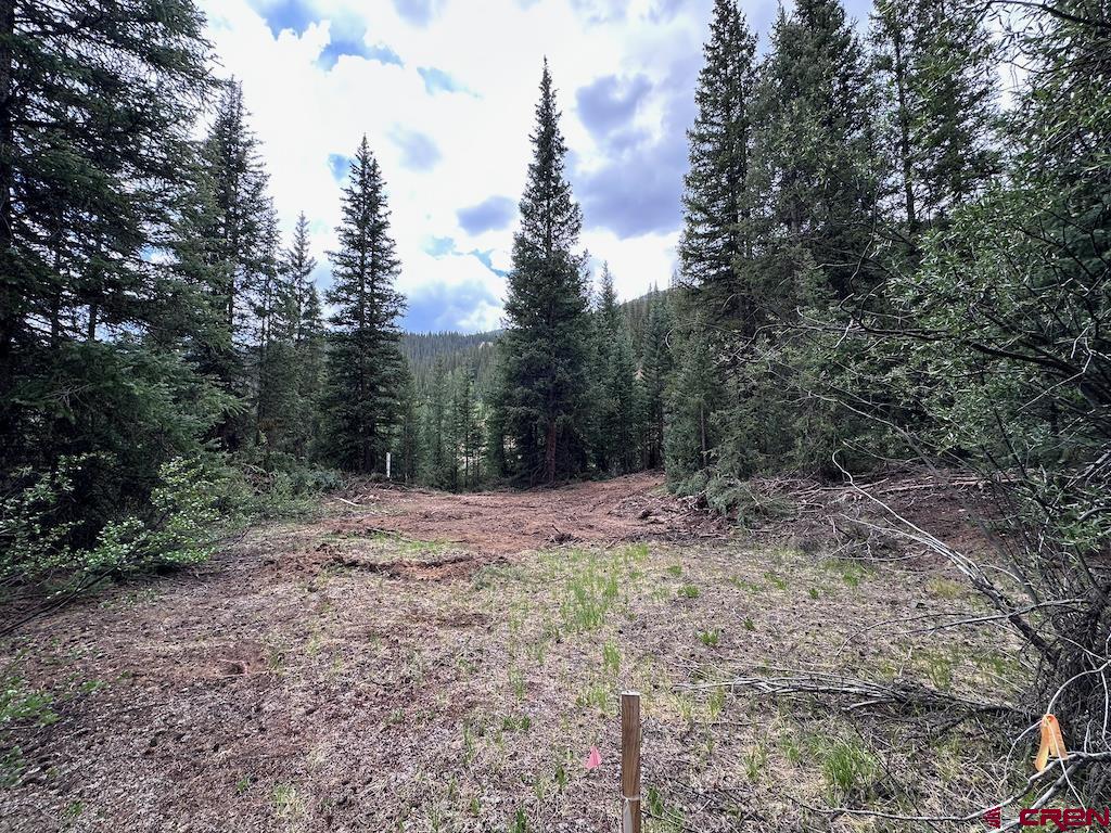 Lot 6 Overland Estates, Cr 110 Silverton CO 81433