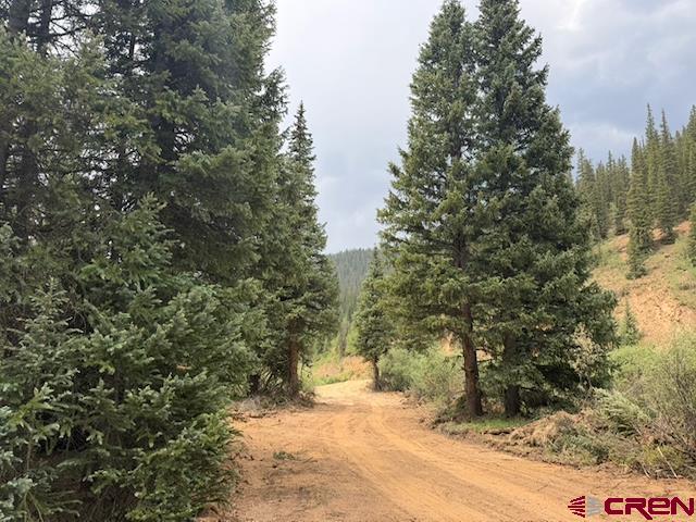 Lot 6 Overland Estates, Cr 110 Silverton CO 81433