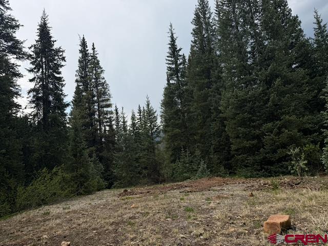 Lot 6 Overland Estates, Cr 110 Silverton CO 81433