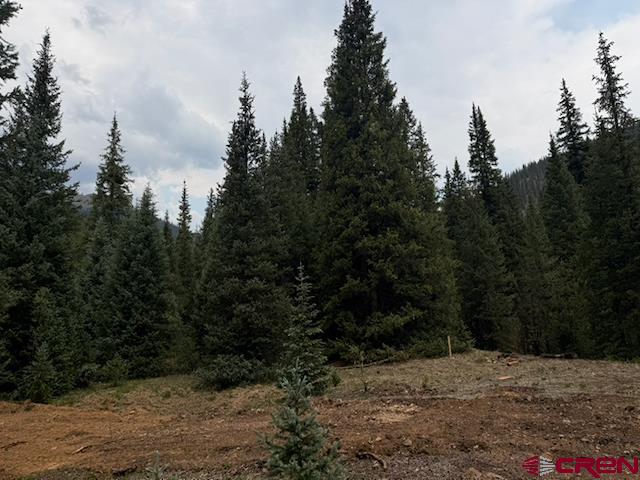 Lot 6 Overland Estates, Cr 110 Silverton CO 81433