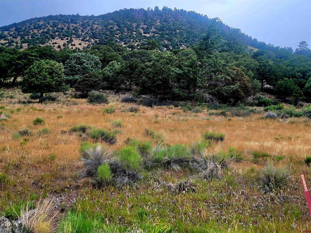 531 Bear Creek Circle South Fork CO 81154