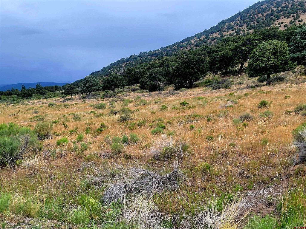 531 Bear Creek Circle South Fork CO 81154