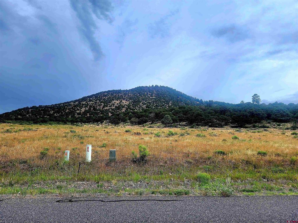 531 Bear Creek Circle South Fork CO 81154