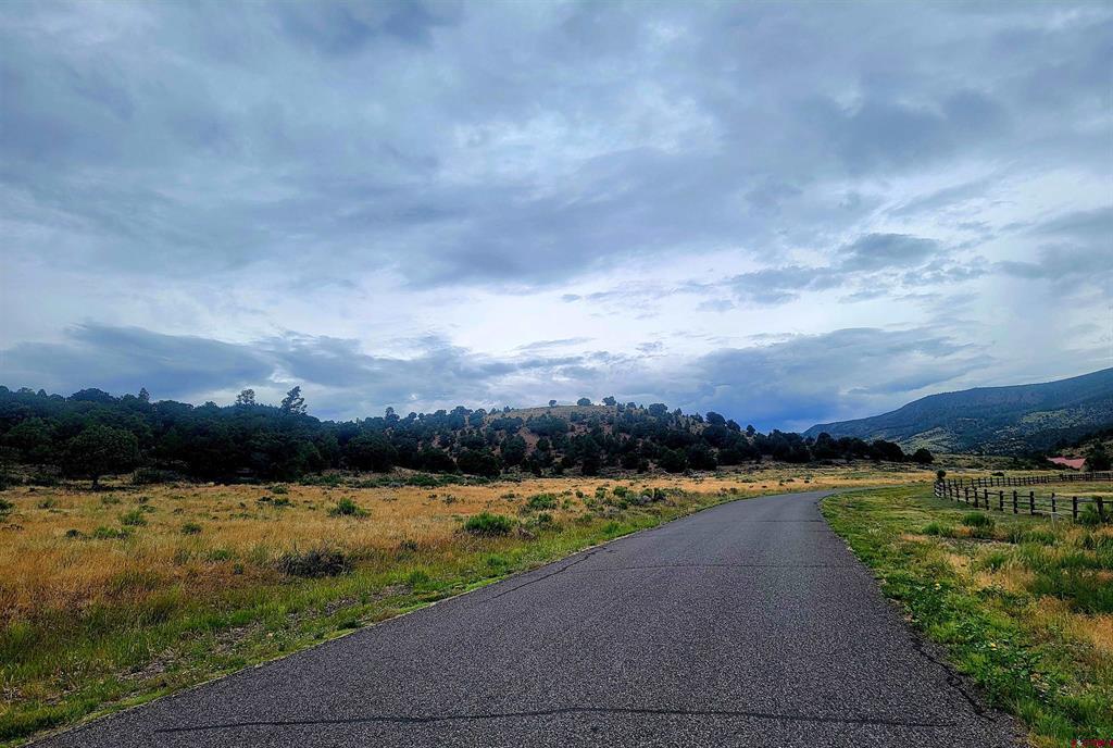 531 Bear Creek Circle South Fork CO 81154