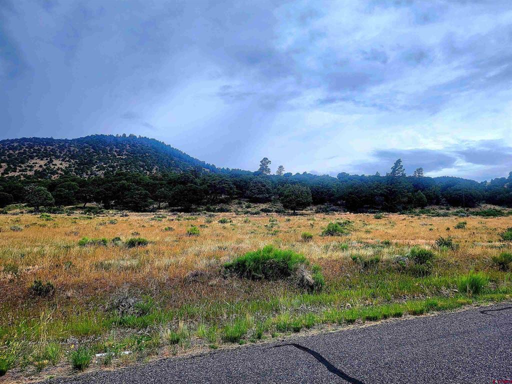 531 Bear Creek Circle South Fork CO 81154
