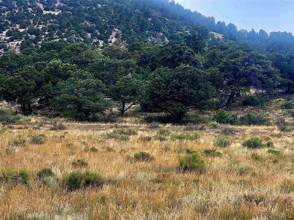 531 Bear Creek Circle South Fork CO 81154