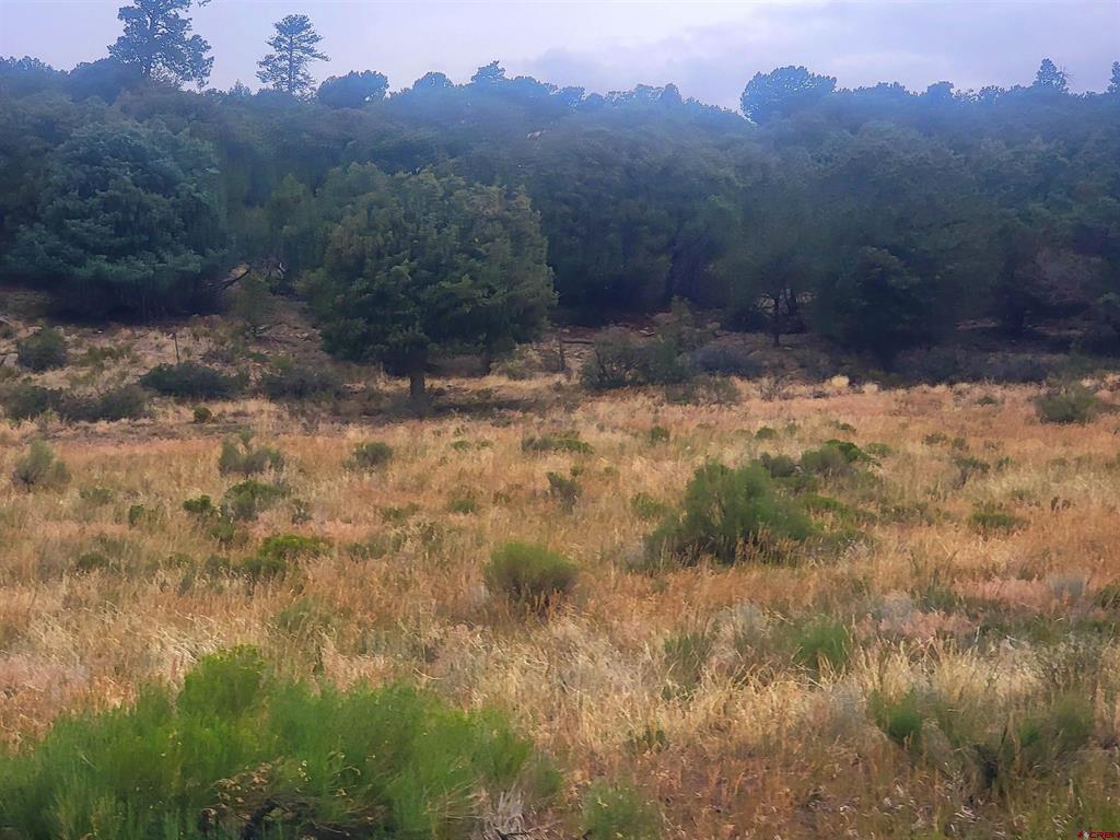 531 Bear Creek Circle South Fork CO 81154