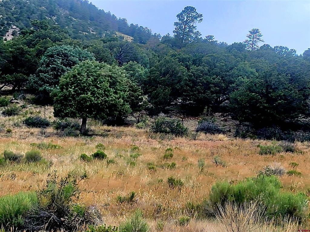 531 Bear Creek Circle South Fork CO 81154