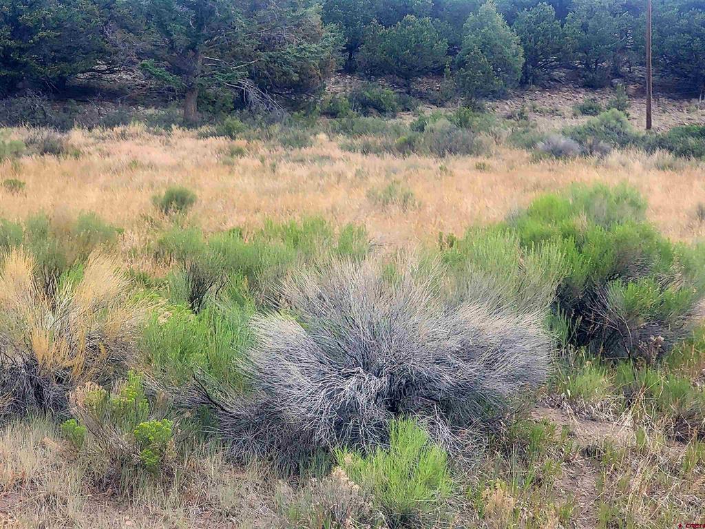 531 Bear Creek Circle South Fork CO 81154