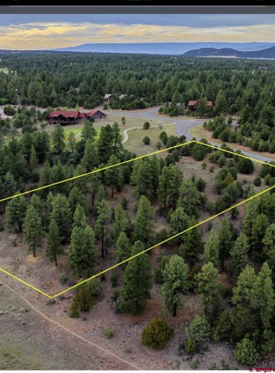 52 White Tail Lane Ridgway CO 81432