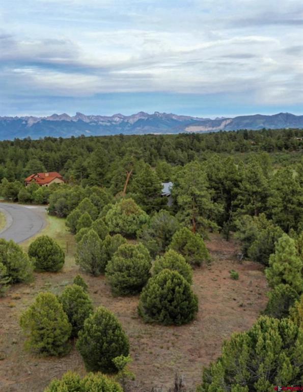 52 White Tail Lane Ridgway CO 81432