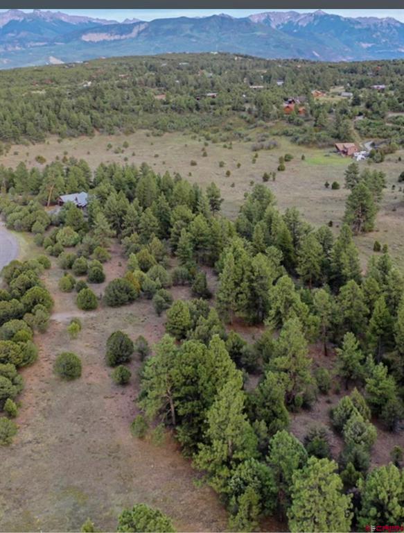 52 White Tail Lane Ridgway CO 81432