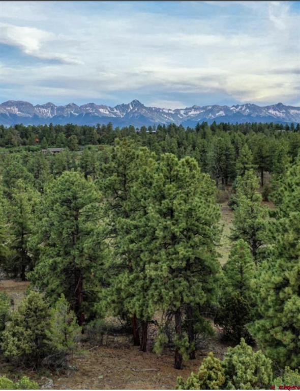 52 White Tail Lane Ridgway CO 81432