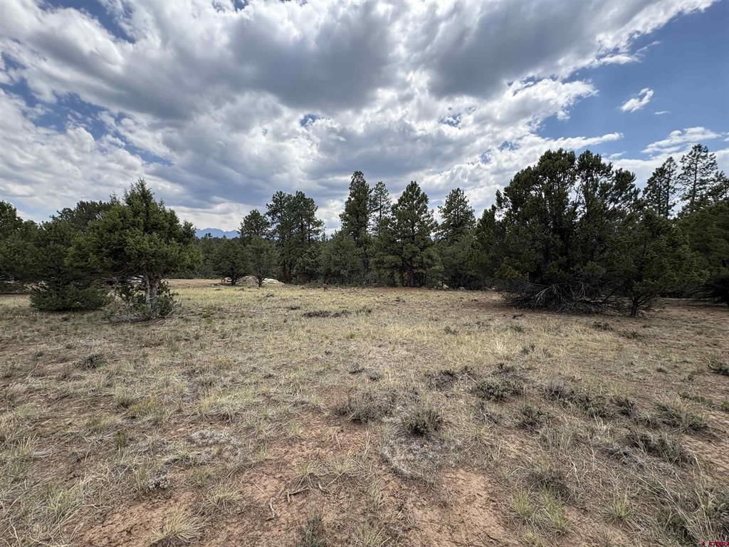 52 White Tail Lane Ridgway CO 81432