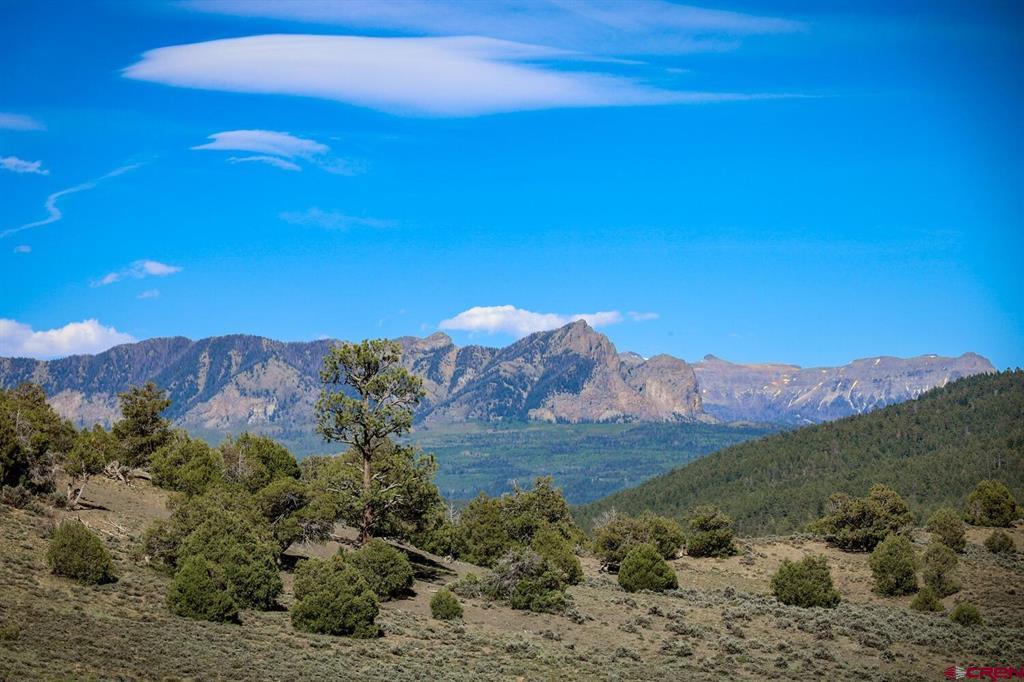 432 Golden Spruce Court Pagosa Springs CO 81147
