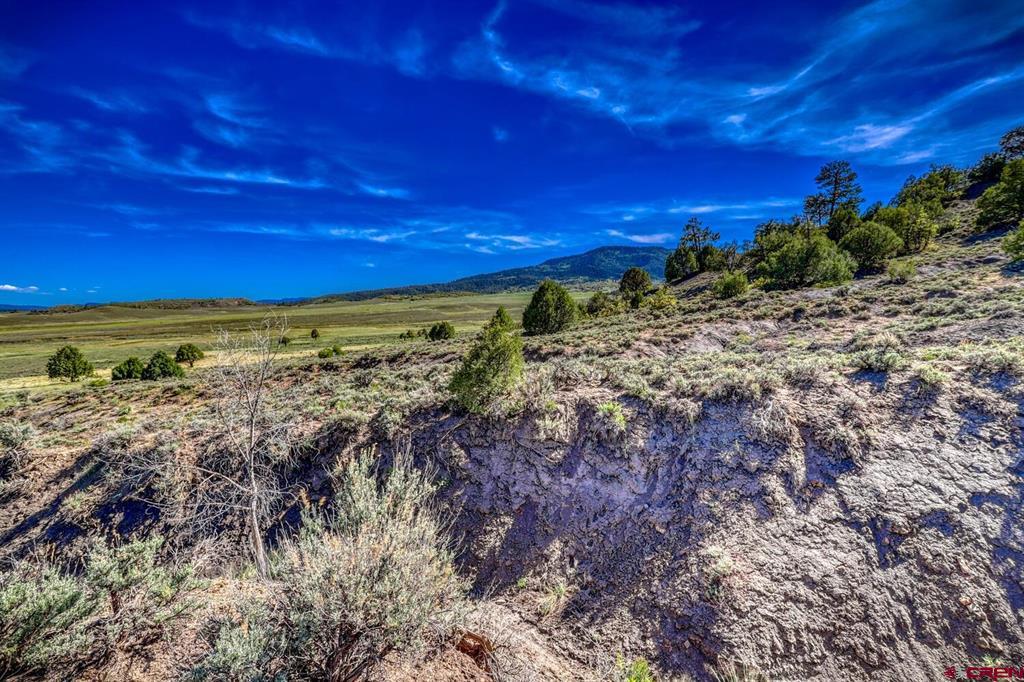 432 Golden Spruce Court Pagosa Springs CO 81147