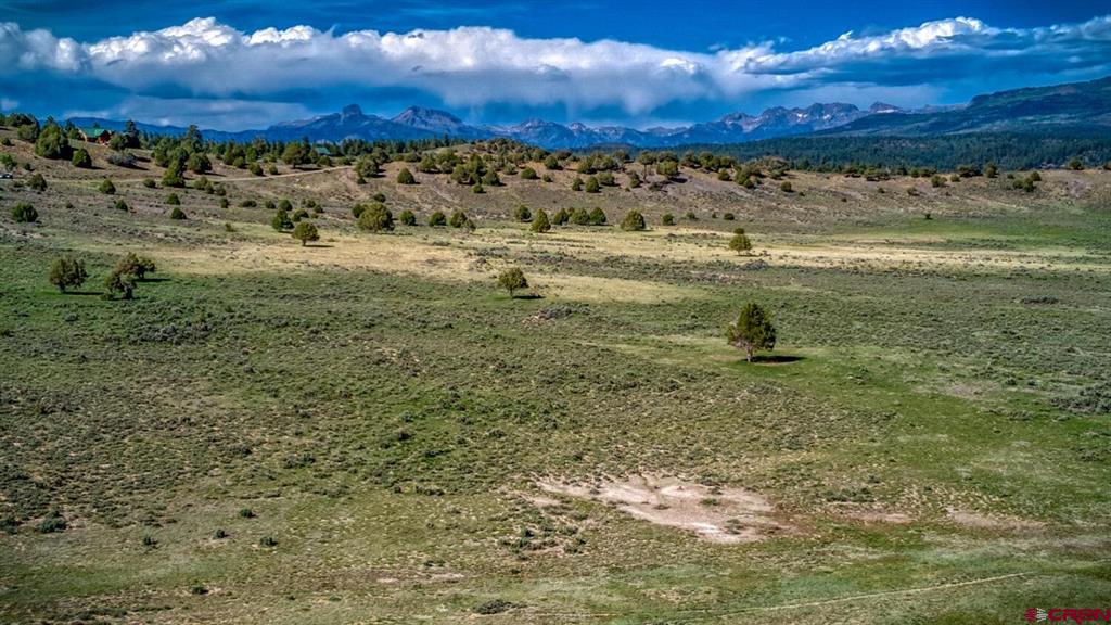 432 Golden Spruce Court Pagosa Springs CO 81147