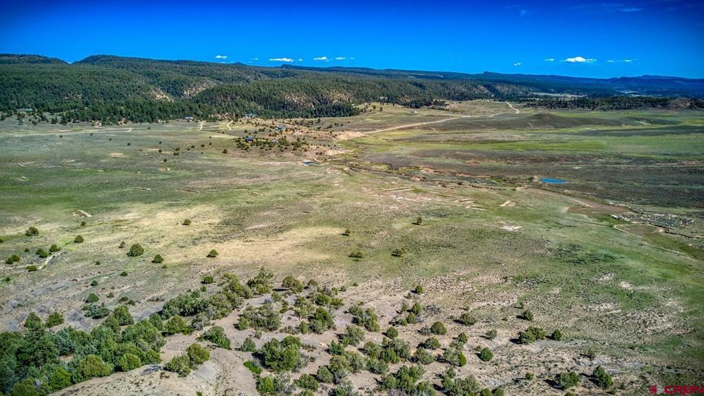 432 Golden Spruce Court Pagosa Springs CO 81147
