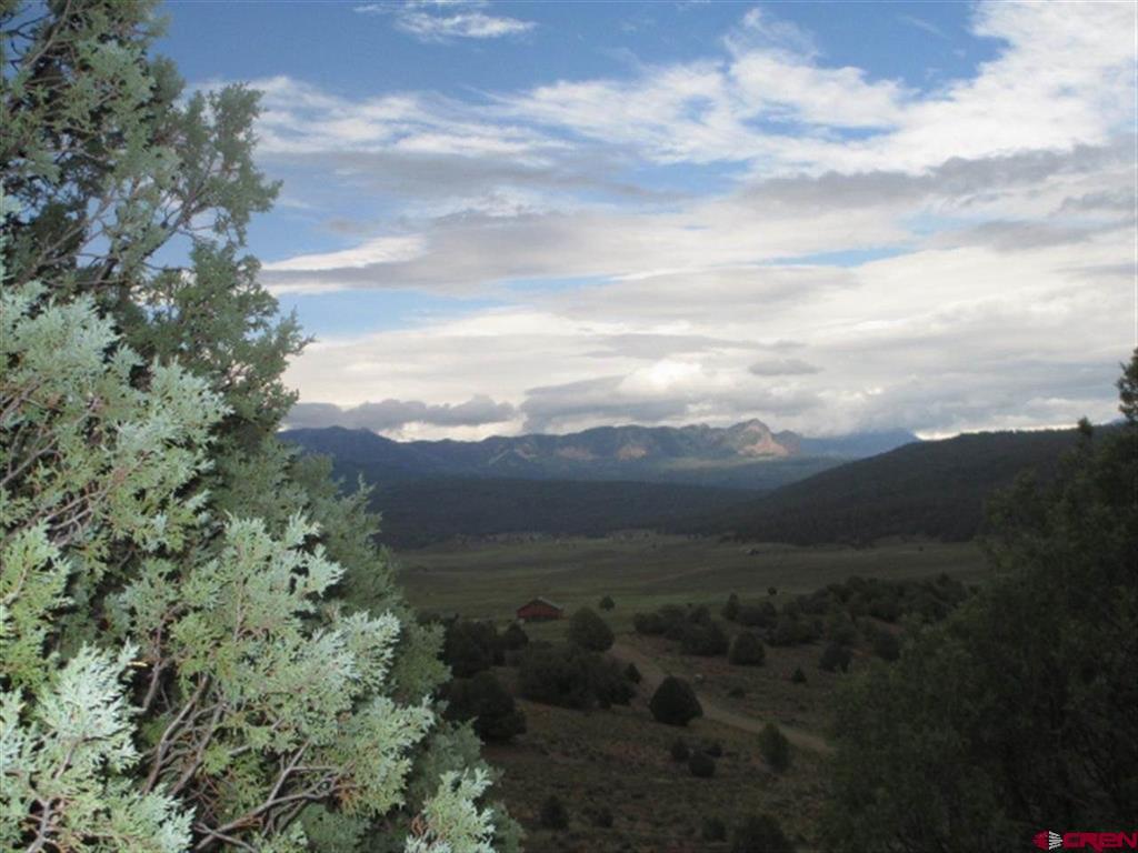 432 Golden Spruce Court Pagosa Springs CO 81147