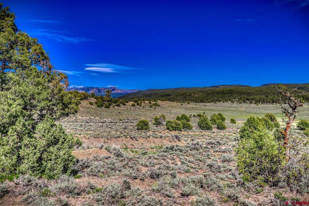 432 Golden Spruce Court Pagosa Springs CO 81147