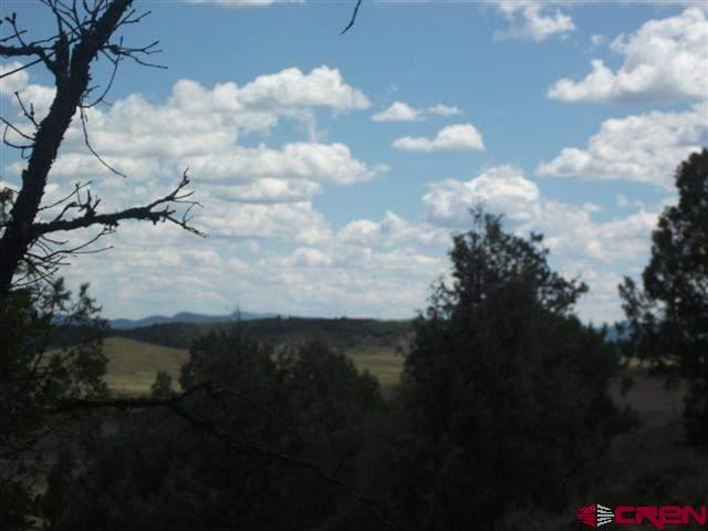 432 Golden Spruce Court Pagosa Springs CO 81147