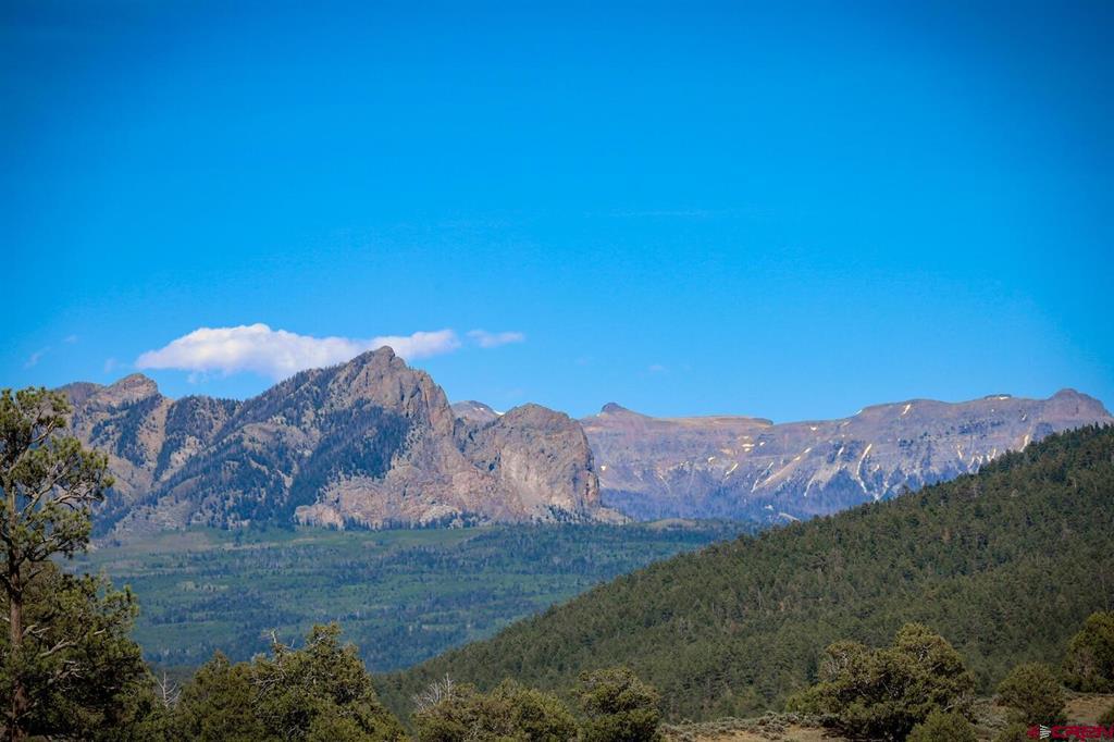 432 Golden Spruce Court Pagosa Springs CO 81147