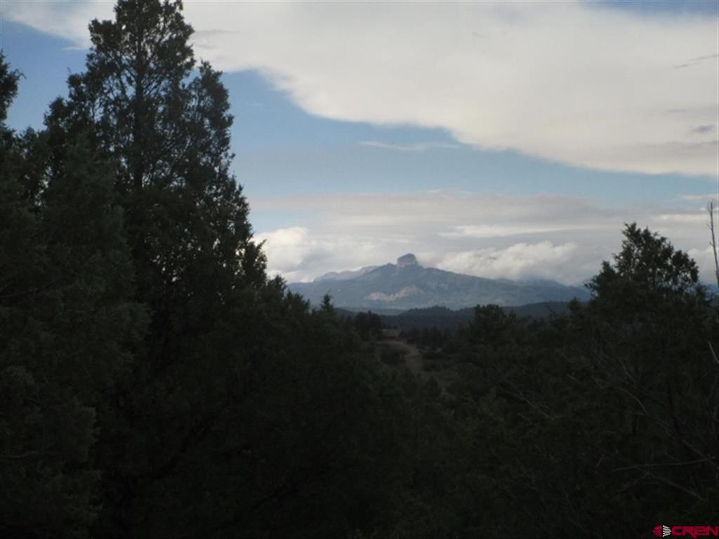 432 Golden Spruce Court Pagosa Springs CO 81147