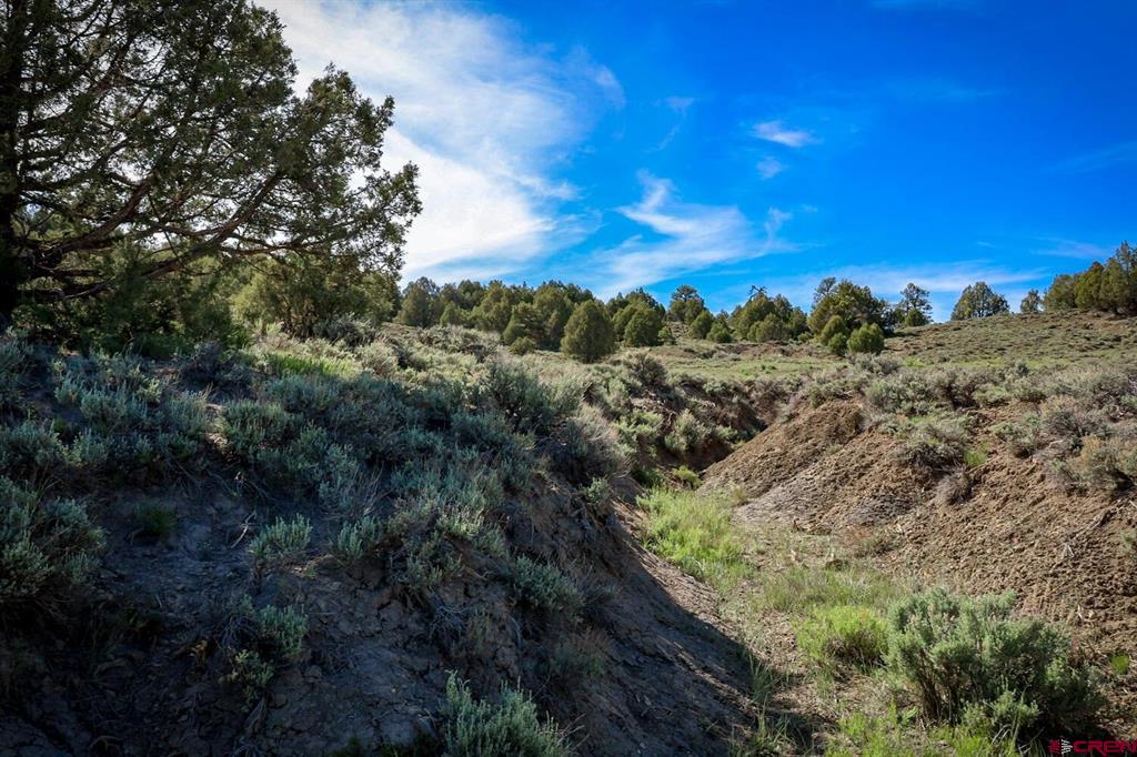 432 Golden Spruce Court Pagosa Springs CO 81147