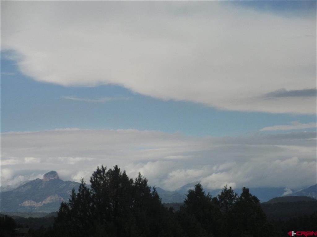 432 Golden Spruce Court Pagosa Springs CO 81147