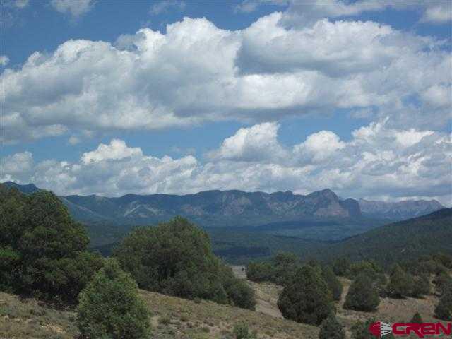 432 Golden Spruce Court Pagosa Springs CO 81147