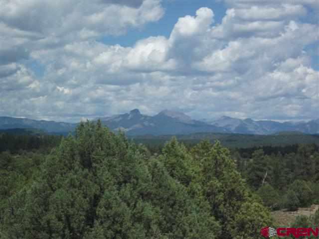 432 Golden Spruce Court Pagosa Springs CO 81147