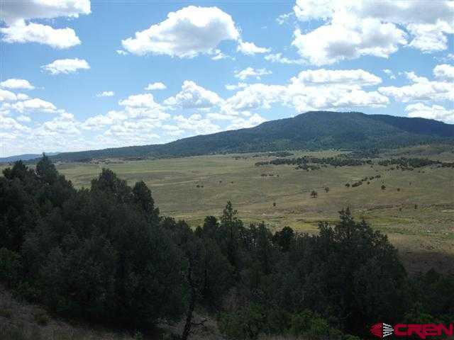 432 Golden Spruce Court Pagosa Springs CO 81147