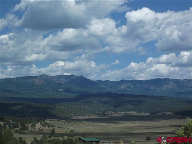 432 Golden Spruce Court Pagosa Springs CO 81147