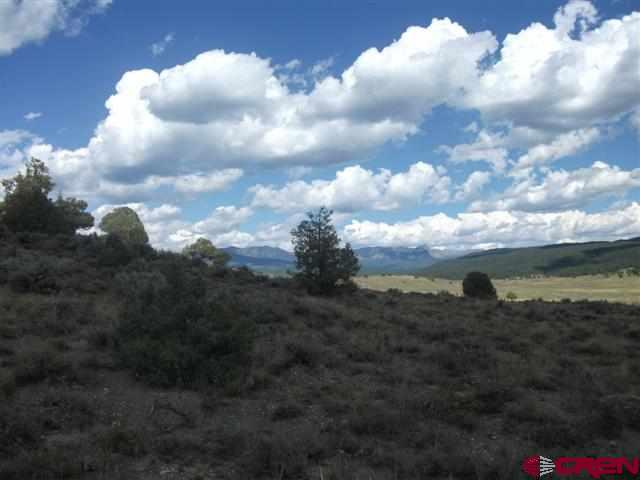432 Golden Spruce Court Pagosa Springs CO 81147