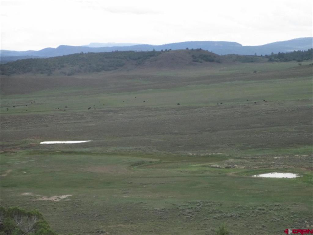 432 Golden Spruce Court Pagosa Springs CO 81147