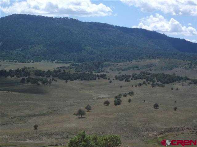 432 Golden Spruce Court Pagosa Springs CO 81147