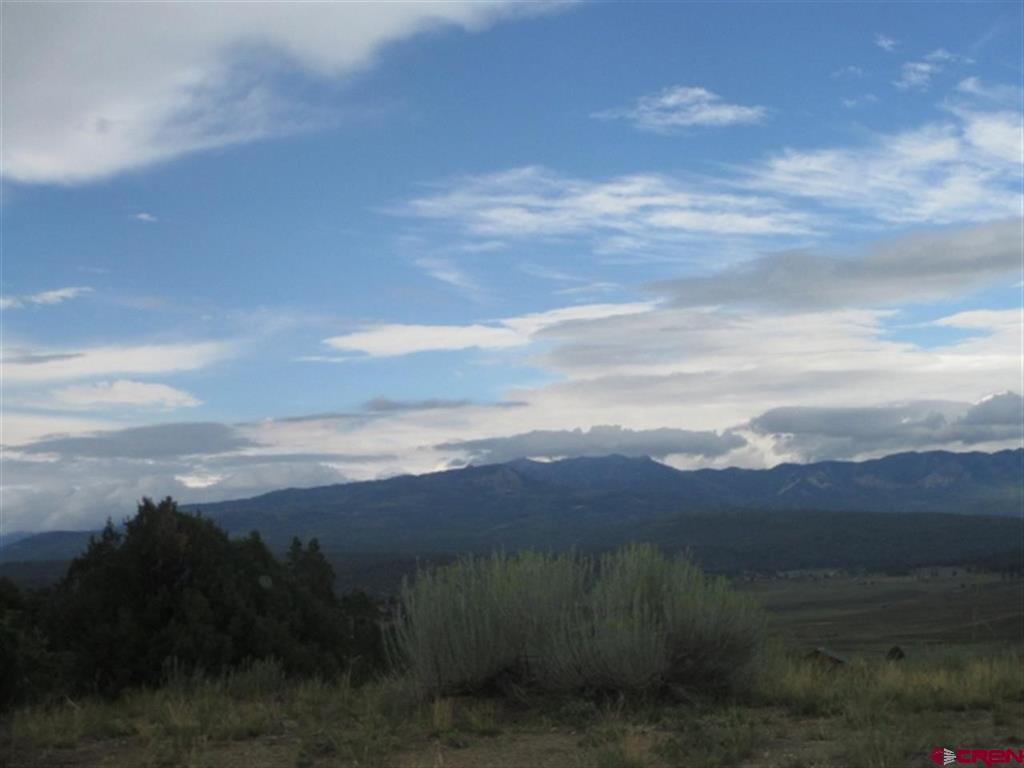 432 Golden Spruce Court Pagosa Springs CO 81147