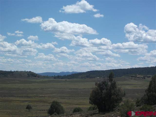 432 Golden Spruce Court Pagosa Springs CO 81147