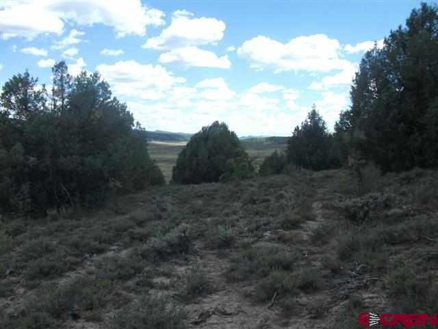 432 Golden Spruce Court Pagosa Springs CO 81147