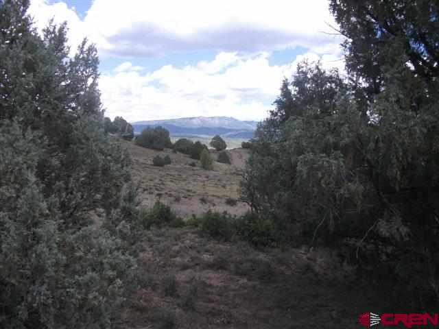 432 Golden Spruce Court Pagosa Springs CO 81147