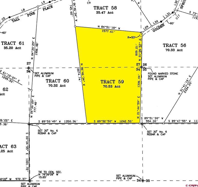 432 Golden Spruce Court Pagosa Springs CO 81147