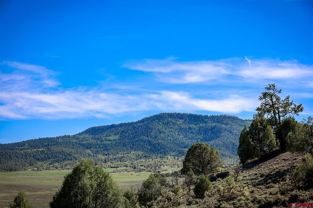 432 Golden Spruce Court Pagosa Springs CO 81147