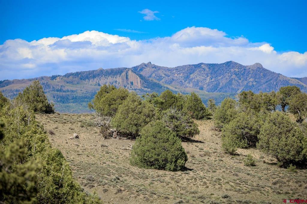432 Golden Spruce Court Pagosa Springs CO 81147